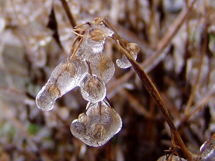 winter photography