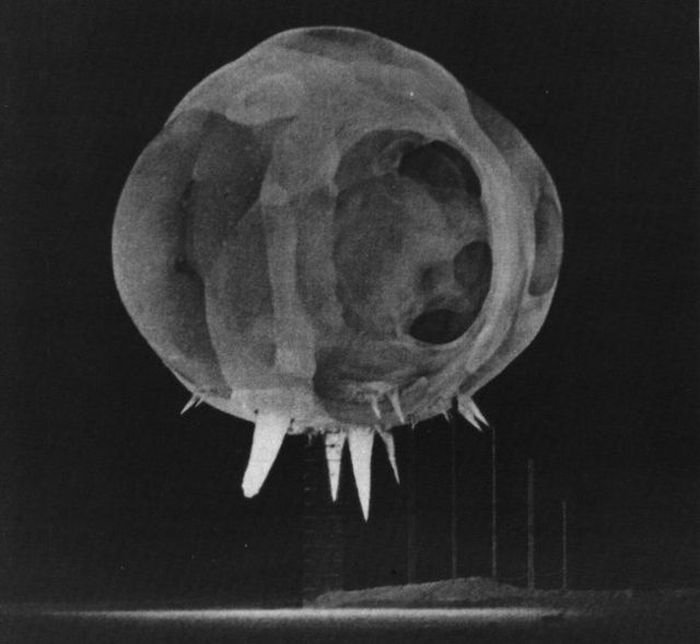 photo of nuclear explosion