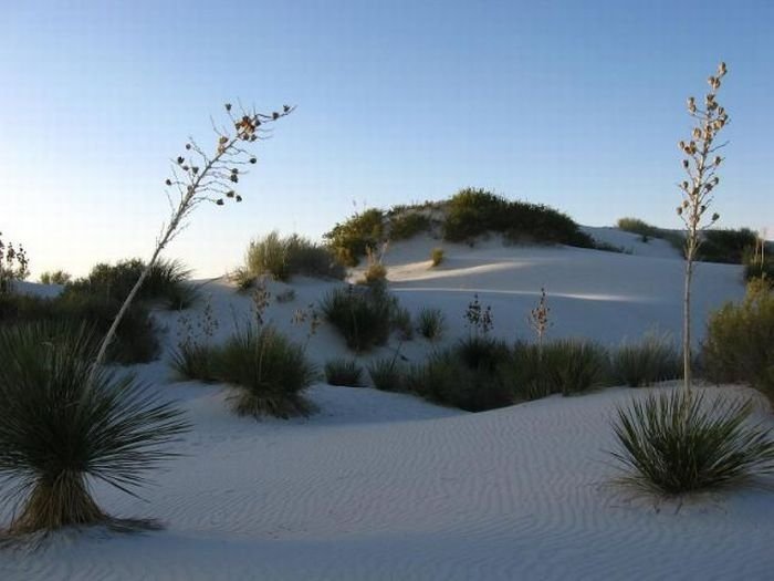 White Sands National Monument, New Mexico, United States