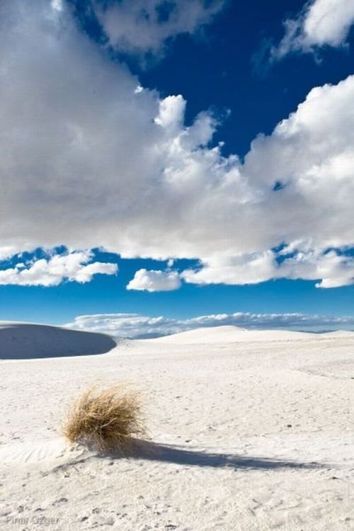 White Sands National Monument, New Mexico, United States