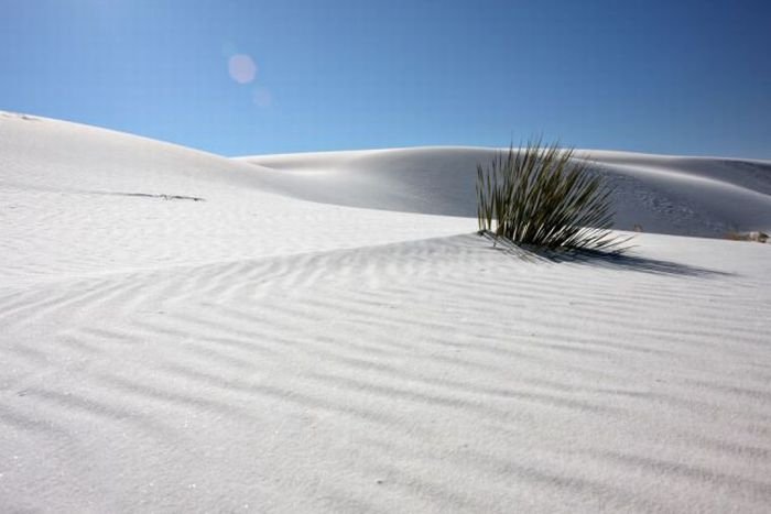 White Sands National Monument, New Mexico, United States