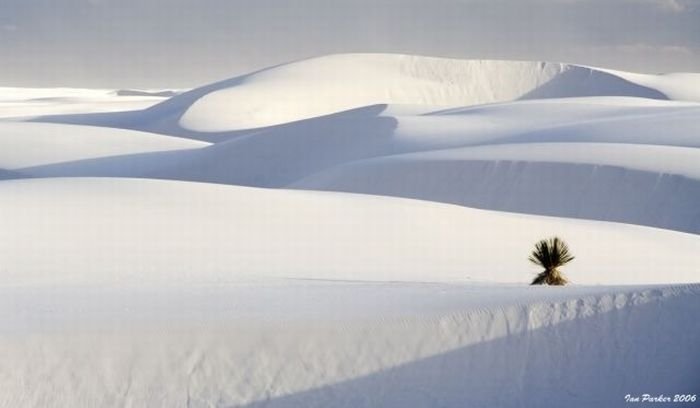 White Sands National Monument, New Mexico, United States