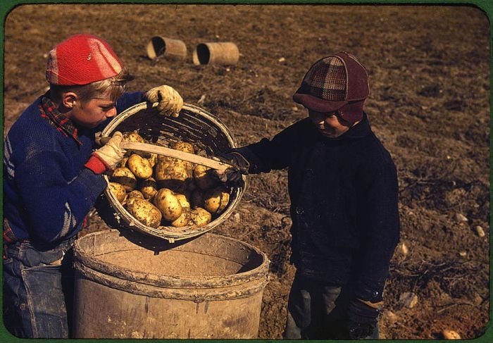 History: The Great Depression, 1939-1943, United States