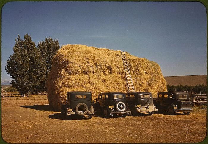 History: The Great Depression, 1939-1943, United States