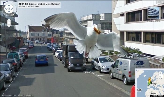 google street view photo bombs