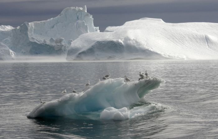 Arctic region, North Pole, Arctic