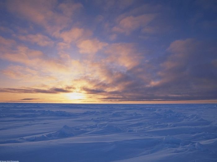 Arctic region, North Pole, Arctic