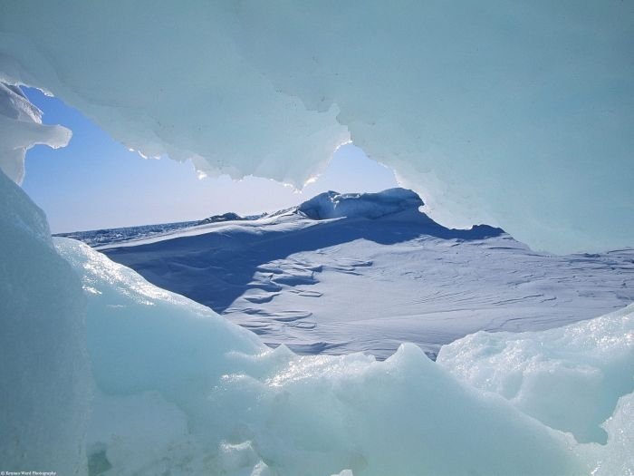 Arctic region, North Pole, Arctic