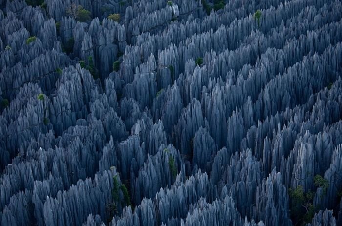 Tsingy de Bemaraha, Melaky Region, Madagascar