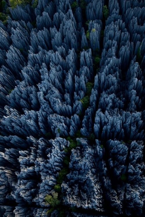 Tsingy de Bemaraha, Melaky Region, Madagascar