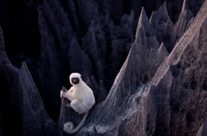 Tsingy de Bemaraha, Melaky Region, Madagascar