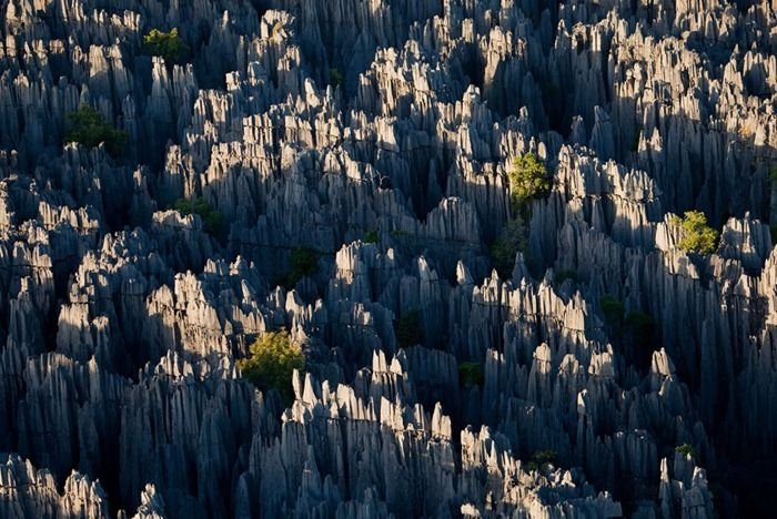 Tsingy de Bemaraha, Melaky Region, Madagascar