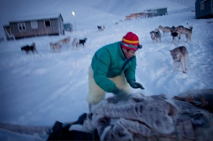 Life in Greenland