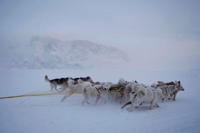 Life in Greenland