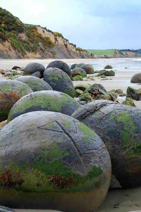 Moeraki Boulders, Koekohe Beach, Otago coast, New Zealand