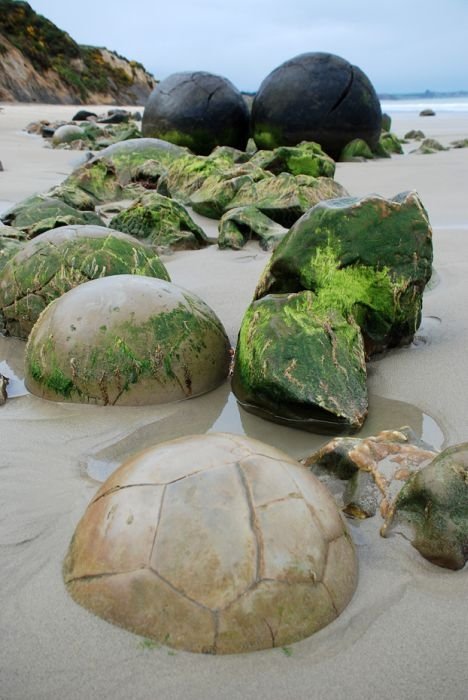 Moeraki Boulders, Koekohe Beach, Otago coast, New Zealand