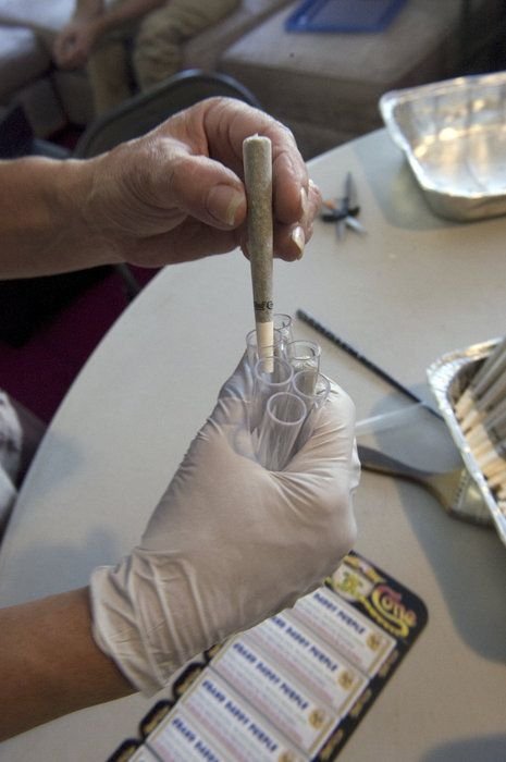 Production of cannabis cigarettes, Marin County, California, United States