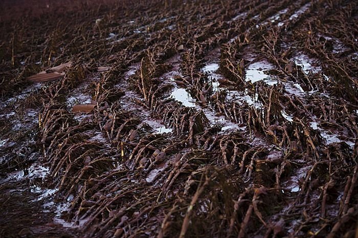 Red sludge alumina factory reservoir pollutes villages, Hungary