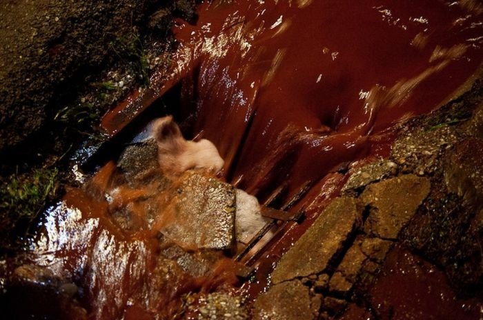 Red sludge alumina factory reservoir pollutes villages, Hungary