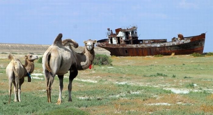 The Aral Sea is almost gone