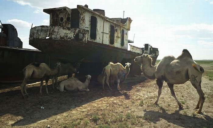 The Aral Sea is almost gone