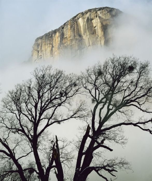 American landscape by William Neill