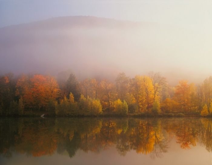 American landscape by William Neill