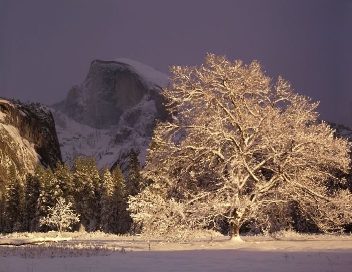 American landscape by William Neill