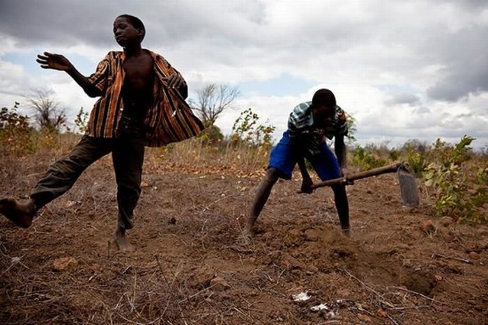 Rat catchers, Madamba, Mozambique