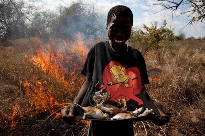 Rat catchers, Madamba, Mozambique