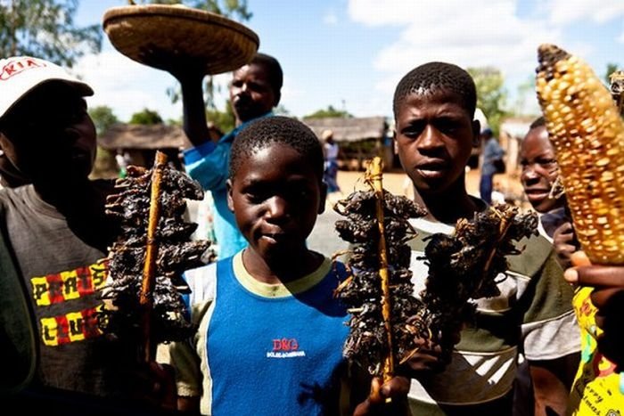 Rat catchers, Madamba, Mozambique