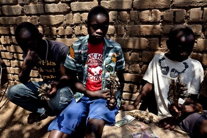 Rat catchers, Madamba, Mozambique