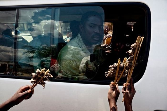 Rat catchers, Madamba, Mozambique