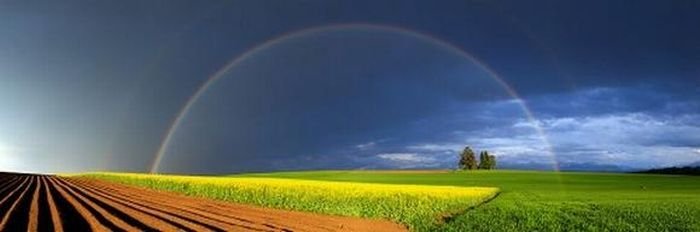 spectrum of rainbow light