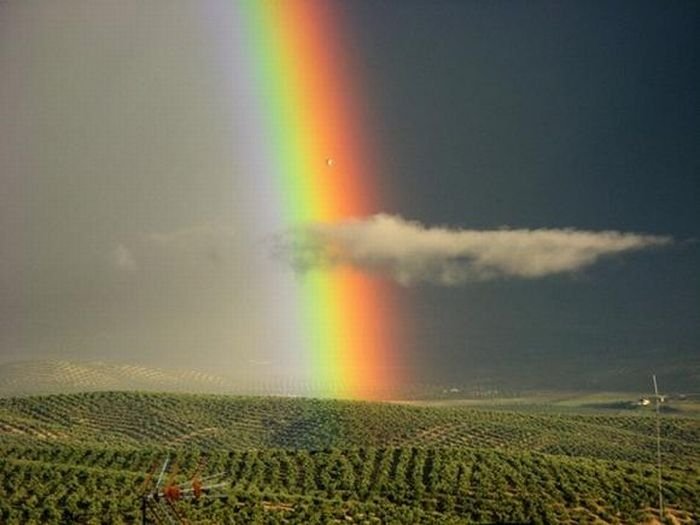 spectrum of rainbow light