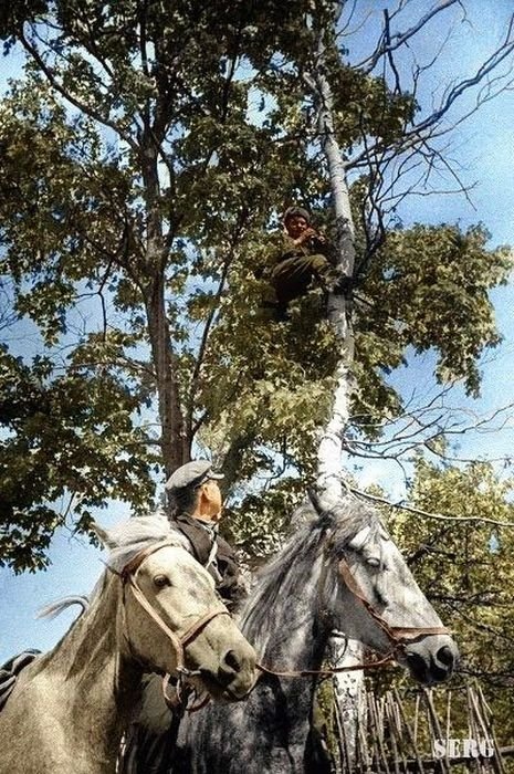 History: World War color photography