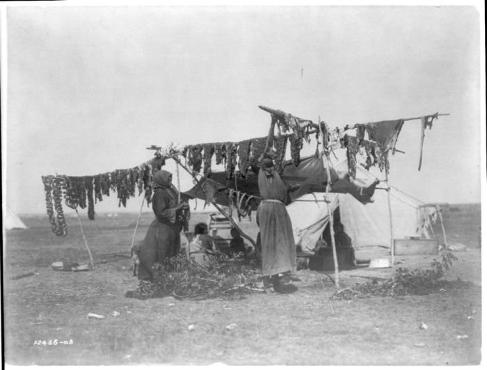 History: The North American Indian by Edward S. Curtis