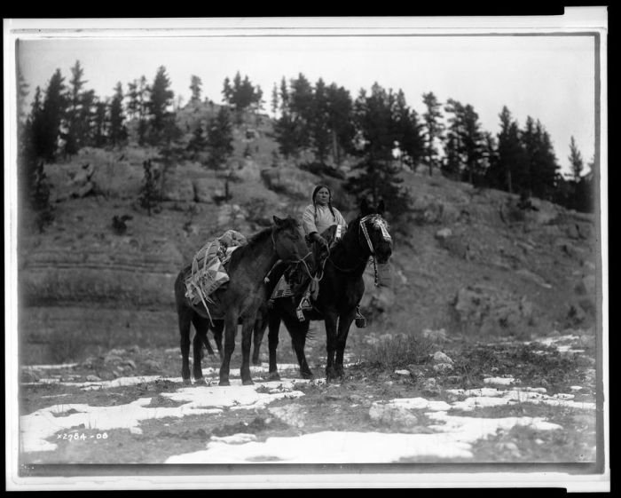 History: The North American Indian by Edward S. Curtis