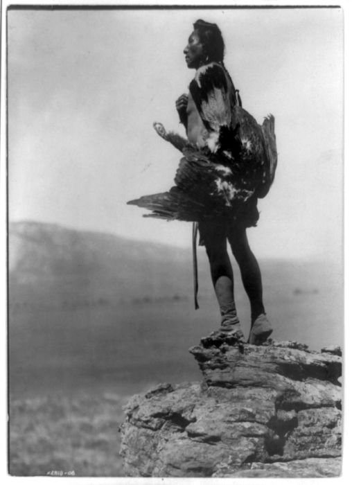 History: The North American Indian by Edward S. Curtis