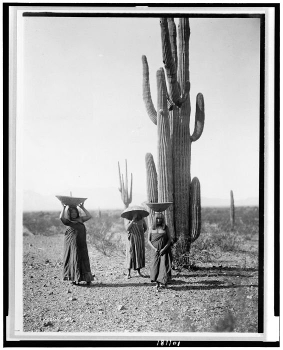 History: The North American Indian by Edward S. Curtis