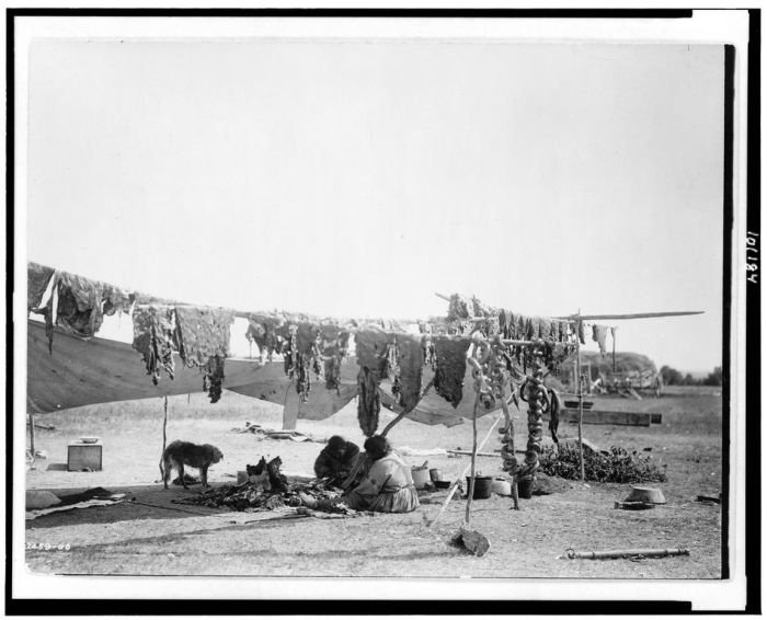 History: The North American Indian by Edward S. Curtis