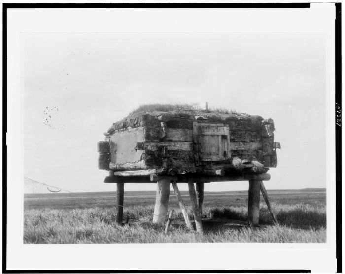 History: The North American Indian by Edward S. Curtis