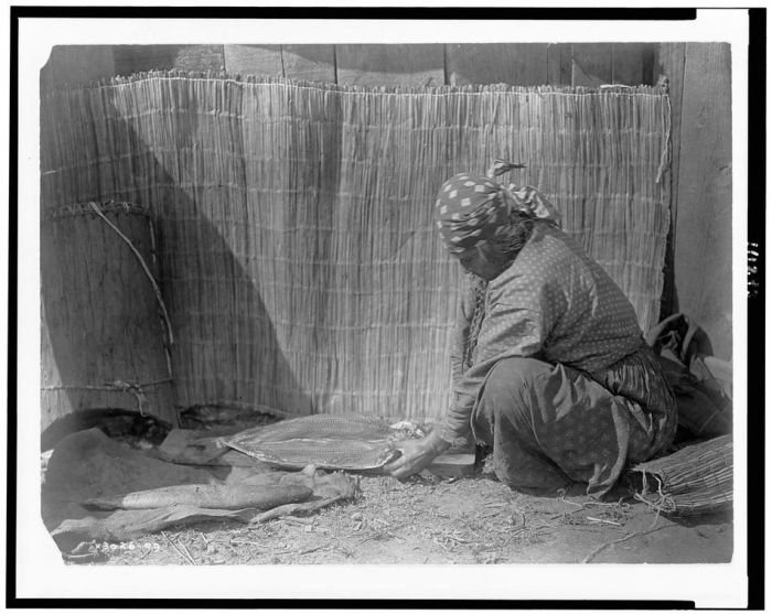 History: The North American Indian by Edward S. Curtis