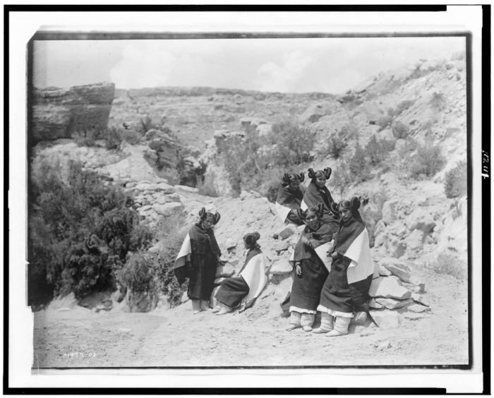 History: The North American Indian by Edward S. Curtis