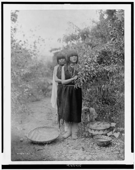 History: The North American Indian by Edward S. Curtis