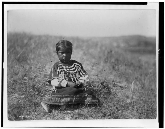 History: The North American Indian by Edward S. Curtis