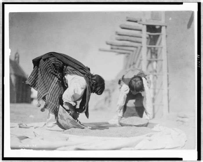 History: The North American Indian by Edward S. Curtis