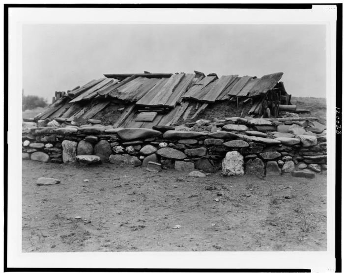 History: The North American Indian by Edward S. Curtis