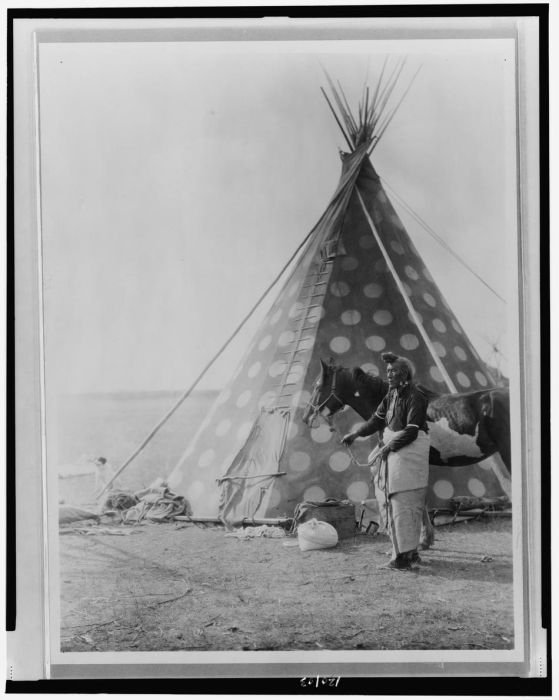 History: The North American Indian by Edward S. Curtis