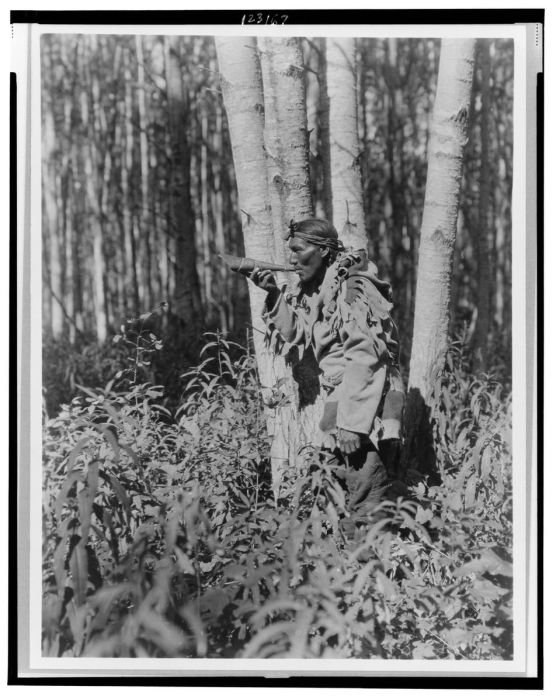 History: The North American Indian by Edward S. Curtis